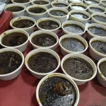 غذای خانگی در رستوران (پرسنلی/مدیریتی)