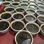 غذای خانگی در رستوران (پرسنلی/مدیریتی)